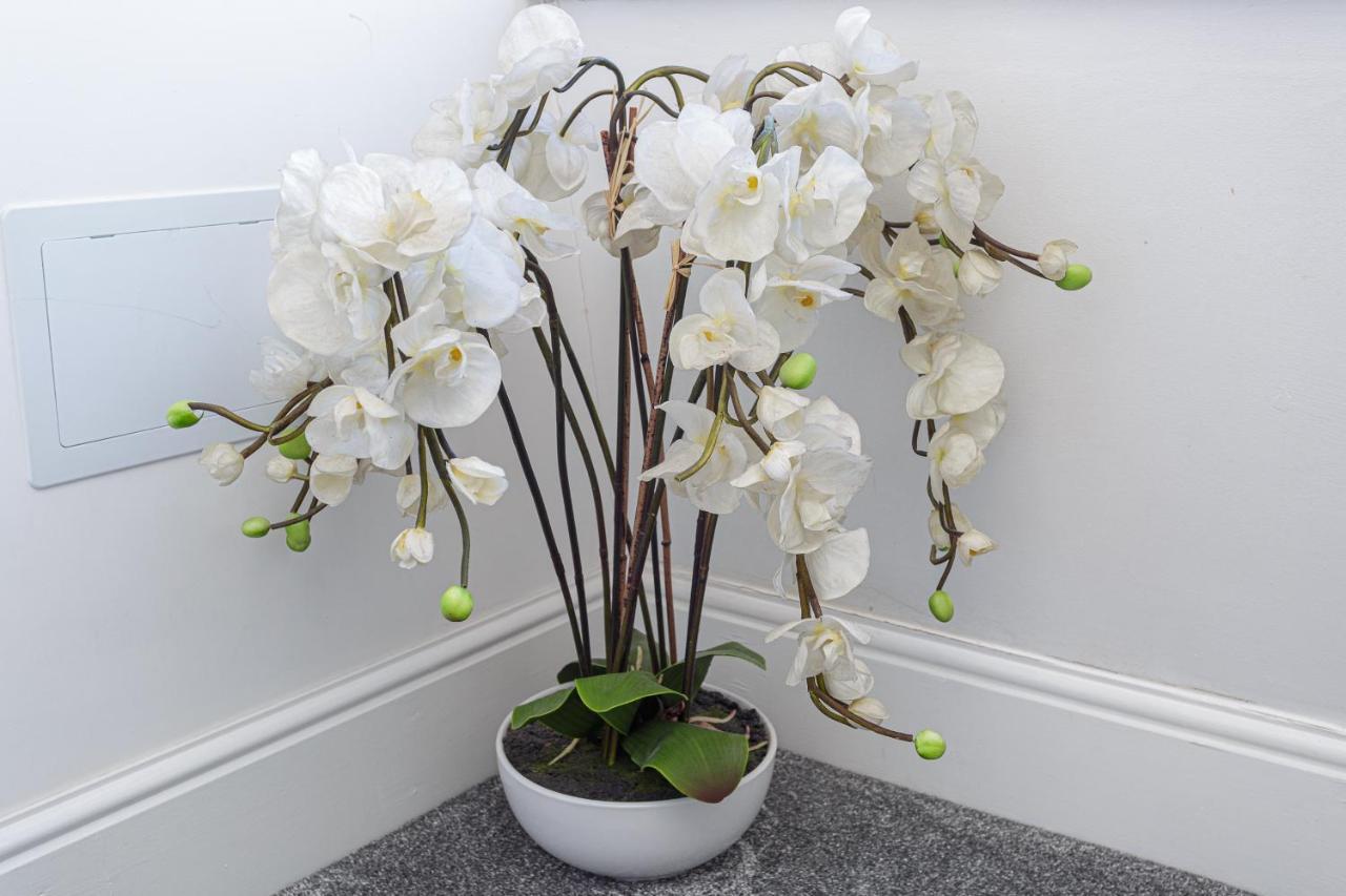 At The Heart & Soul Of Southsea Apartment Portsmouth Ngoại thất bức ảnh